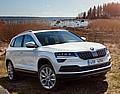 Skoda Karoq.  Foto: Auto-Medienportal.Net/Skoda